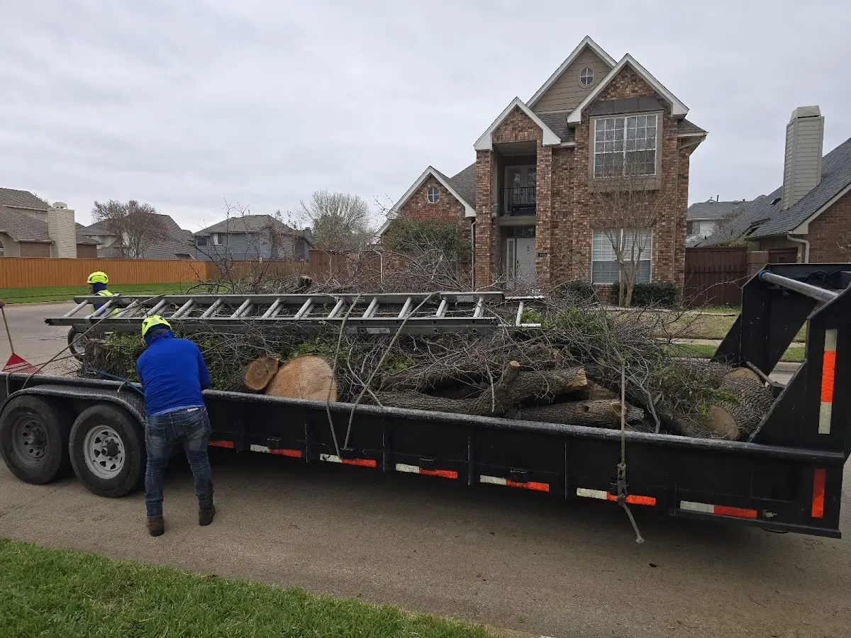 Expert Tree Fertilization with proper safety equipment in Lenoir